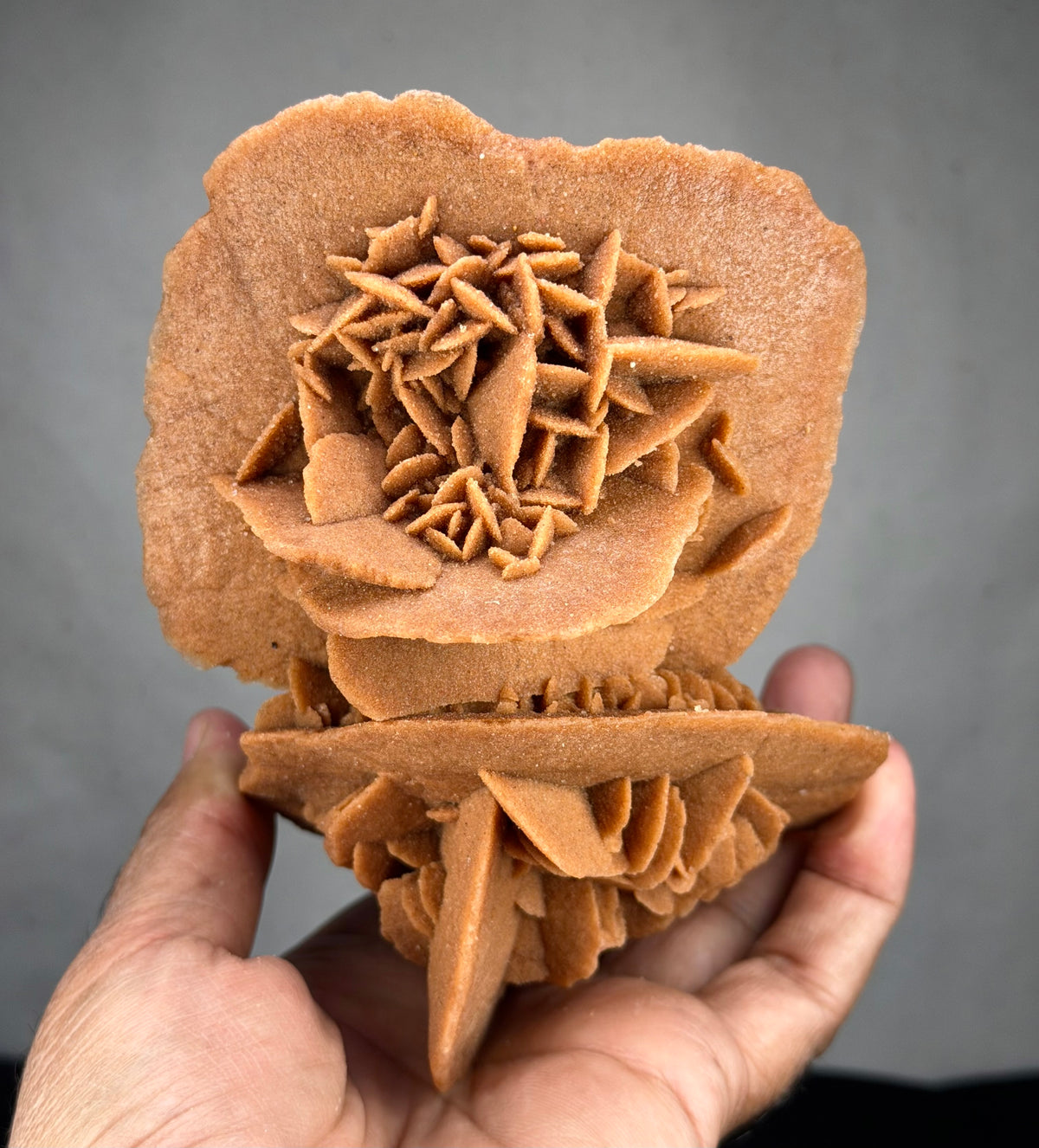 Exceptional Hand-Sized Desert Rose – Stunning Double Formation with Two Beautifully Interconnected Rosettes – Unique Mineral Specimen