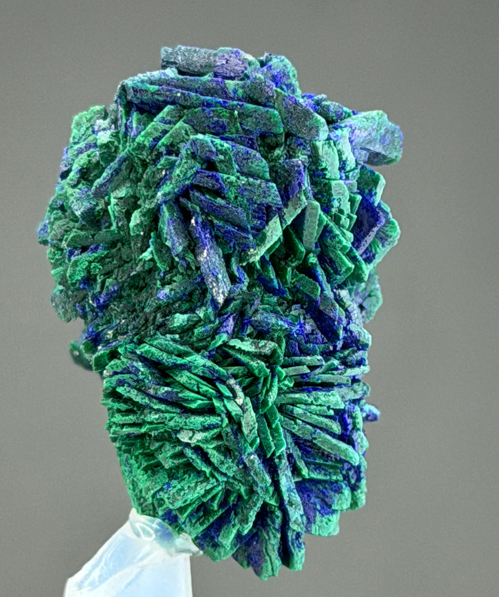 Azurite With malachite lustrous Rosette in Perfect Conditions conditions