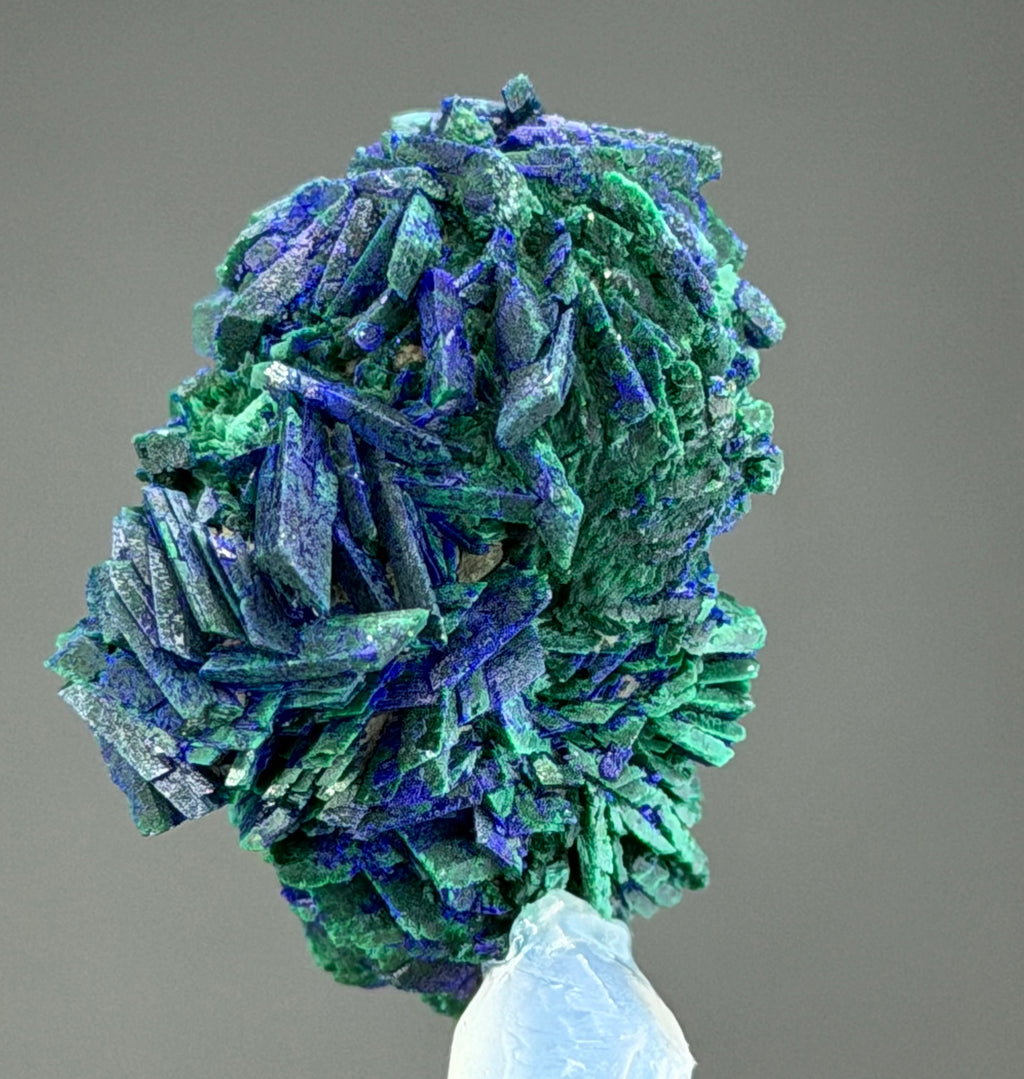 Azurite With malachite lustrous Rosette in Perfect Conditions conditions