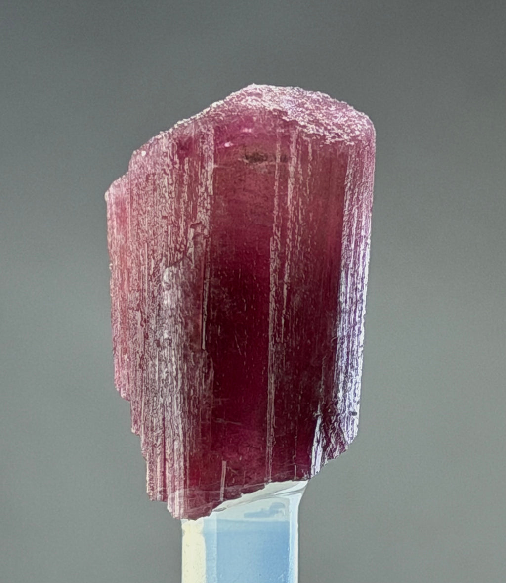 Rubellite Tourmaline  – 30 mm – Collector Mineral Specimen