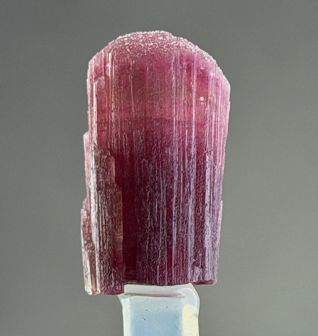 Rubellite Tourmaline  – 25 mm – Collector Mineral Specimen