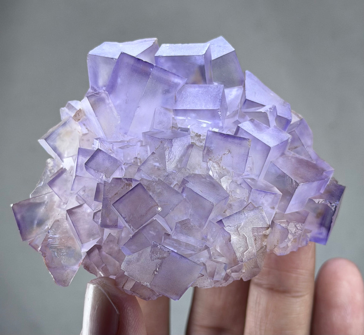 Blue Purple Fluorite in perfect Conditions - Fluorite Mineral Collectors -