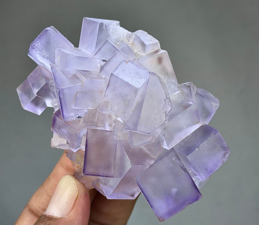 Blue Purple Fluorite in perfect Conditions - Fluorite Mineral Collectors -