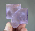 Blue Purple Fluorite in perfect Conditions - Fluorite Mineral Collectors -