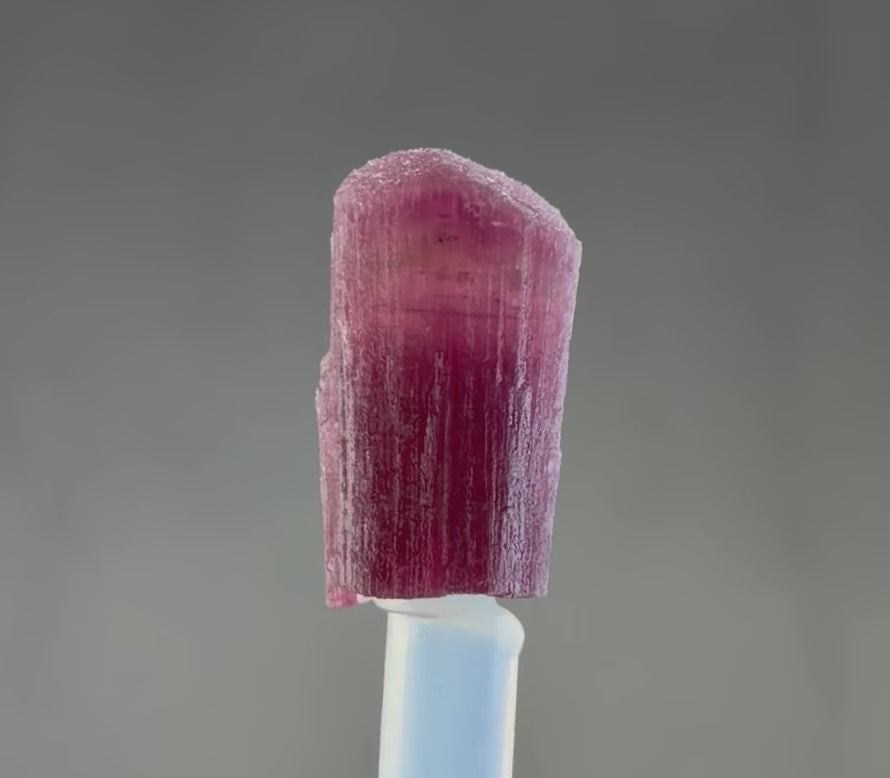 Rubellite Tourmaline  – 25 mm – Collector Mineral Specimen