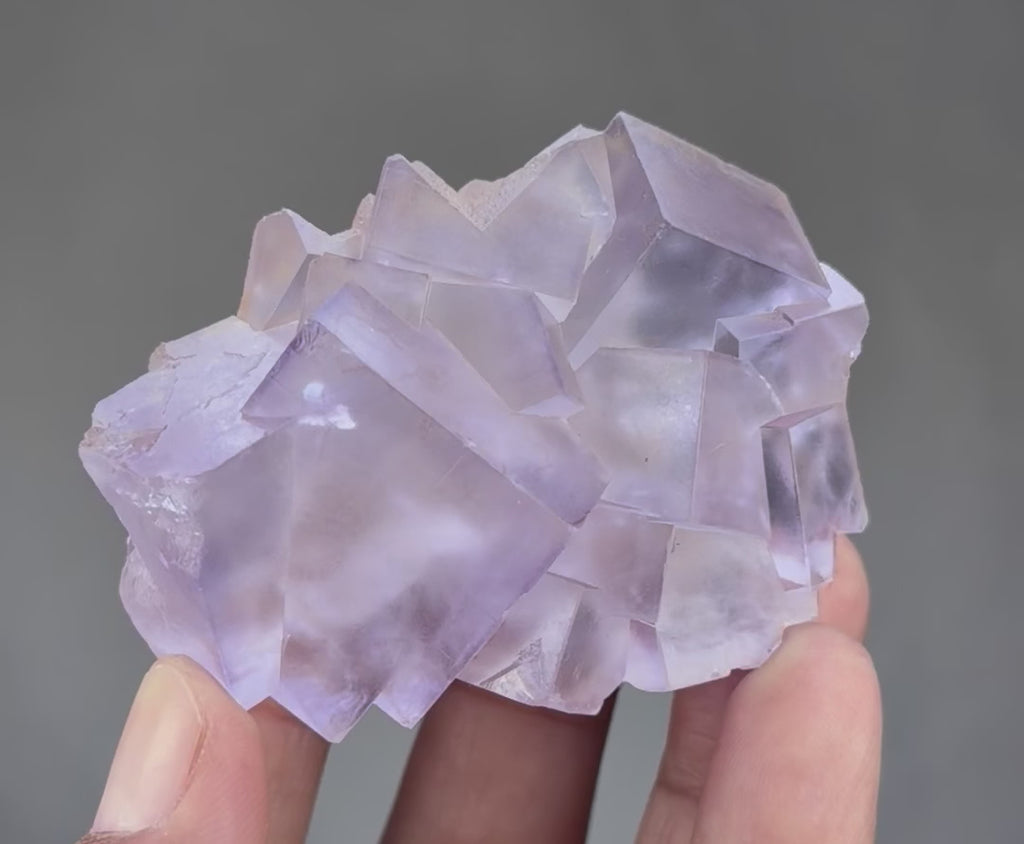 Blue Purple Fluorite in perfect Conditions - Fluorite Mineral Collectors -