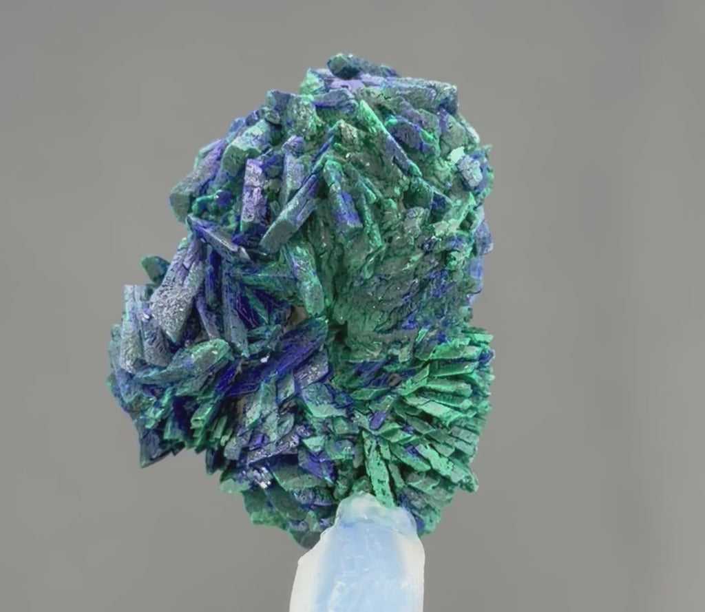 Azurite With malachite lustrous Rosette in Perfect Conditions conditions