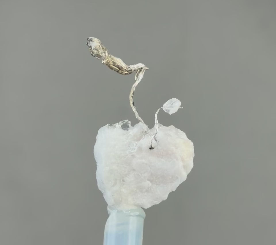 Silver With Quartz Thumbnail Size - Mineral Speciemens Colletors -