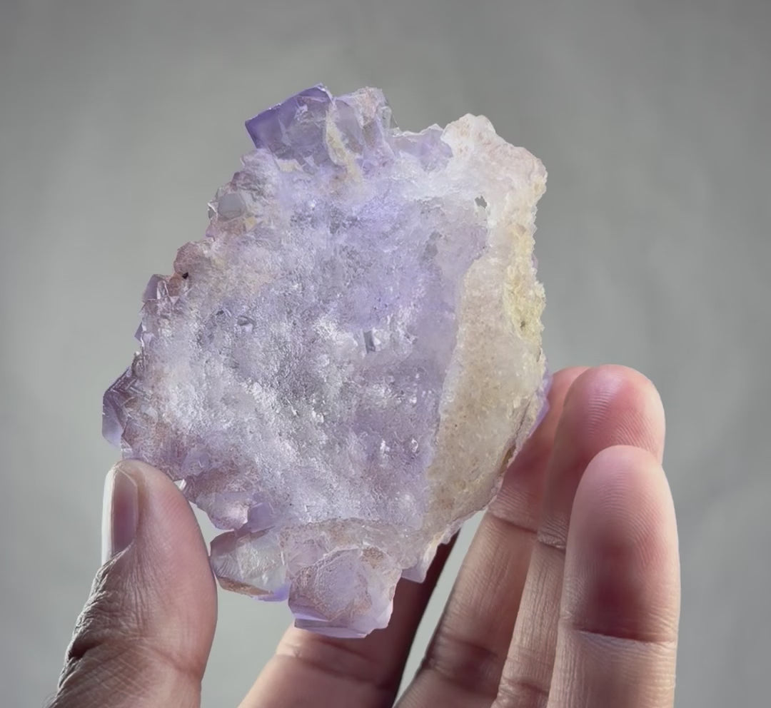 Blue Purple Fluorite in perfect Conditions - Fluorite Mineral Collectors -