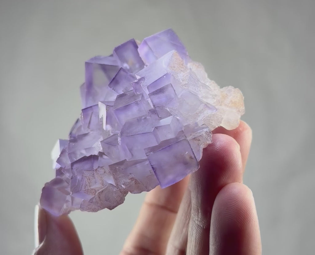 Blue Purple Fluorite in perfect Conditions - Fluorite Mineral Collectors -