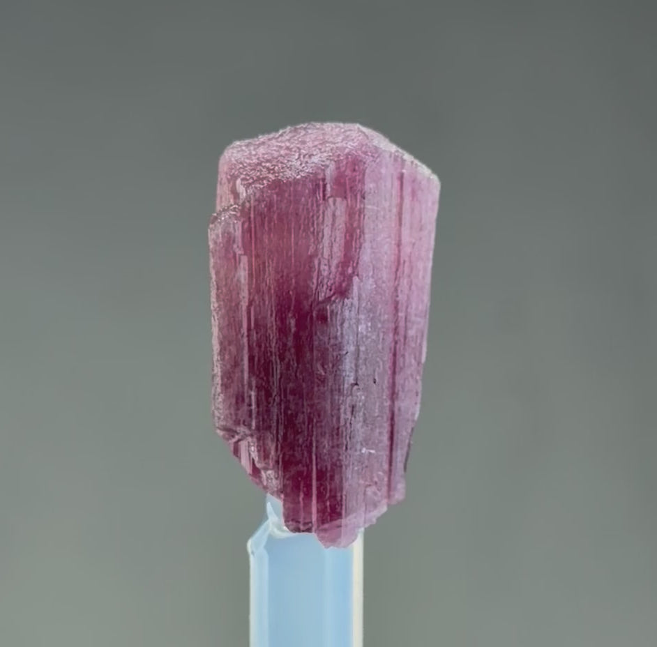 Rubellite Tourmaline  – 30 mm – Collector Mineral Specimen