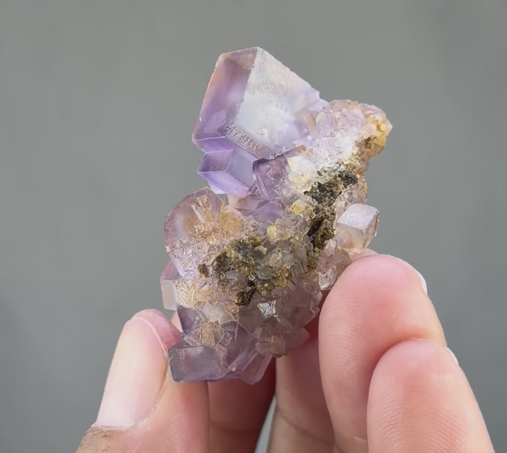 Blue Purple Fluorite in perfect Conditions - Fluorite Mineral Collectors -