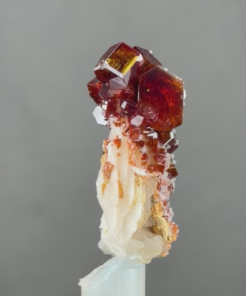 Vanadinite with Barite and gypsum in perfect Conditions -Vanadinite lovers -