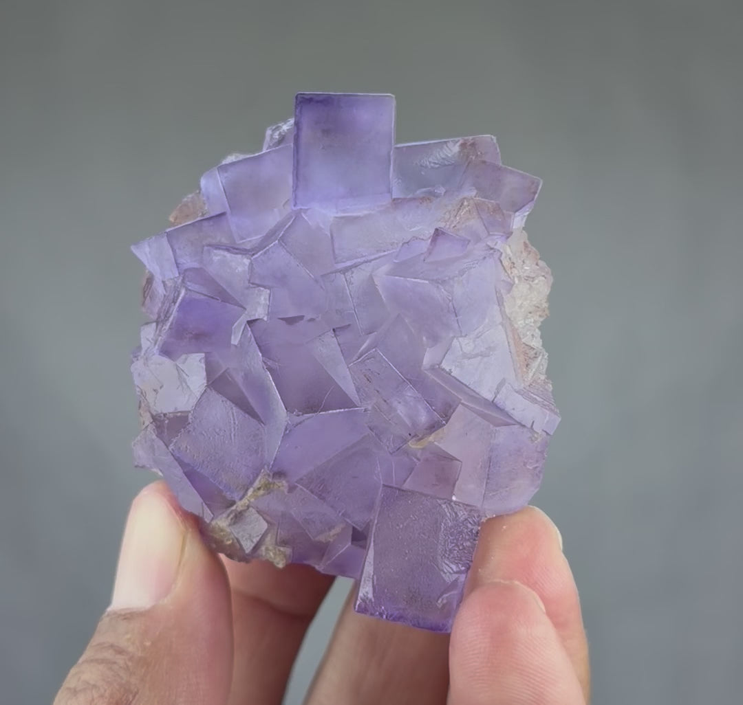 Blue Purple Fluorite in perfect Conditions - Fluorite Mineral Collectors -